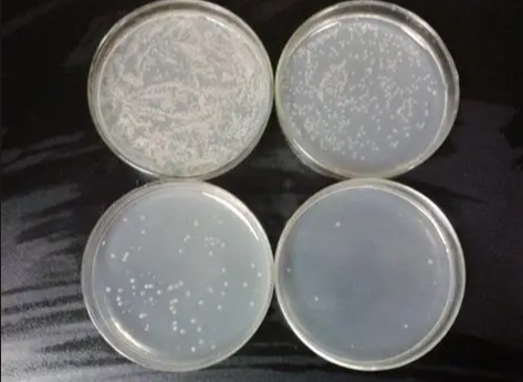 微生物培养基：成分剖析及常用配方实践指引