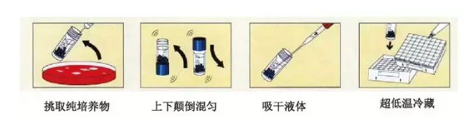 微生物质控菌种的复苏、保藏、使用及管理