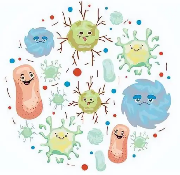 人类肠道微生物群（桑格研究所）